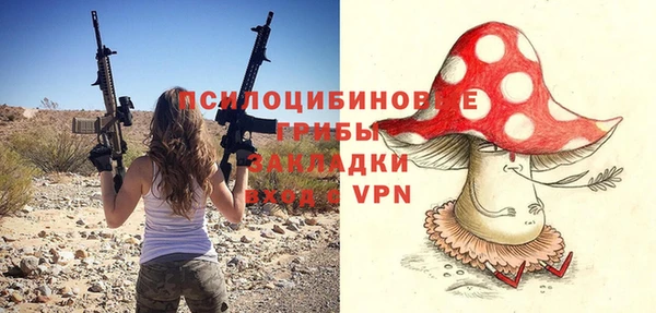 МДПВ Аркадак