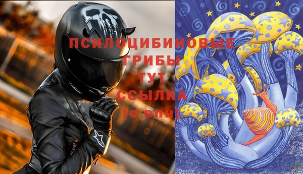 хмурый Армянск