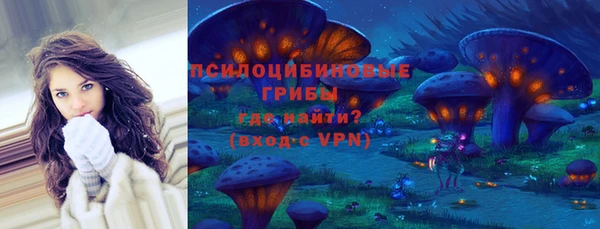 хмурый Армянск