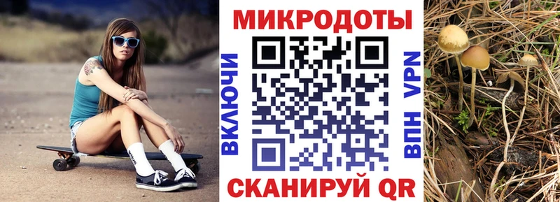 Псилоцибиновые грибы Magic Shrooms  Спасск-Рязанский 
